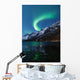Northern Lights Aurora Borealis Wall Decal