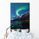 Northern Lights Aurora Borealis Wall Decal