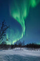 Aurora Borealis Sweden Wall Decal