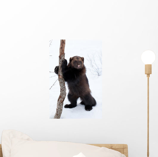 Wolverine Snow Wall Decal