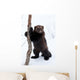 Wolverine Snow Wall Decal
