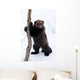 Wolverine Snow Wall Decal
