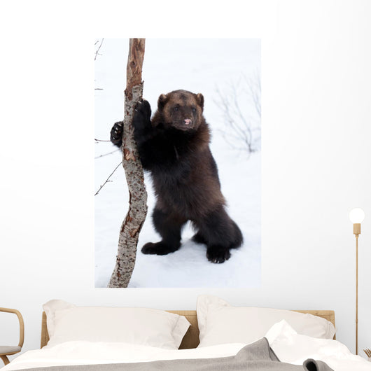 Wolverine Snow Wall Decal