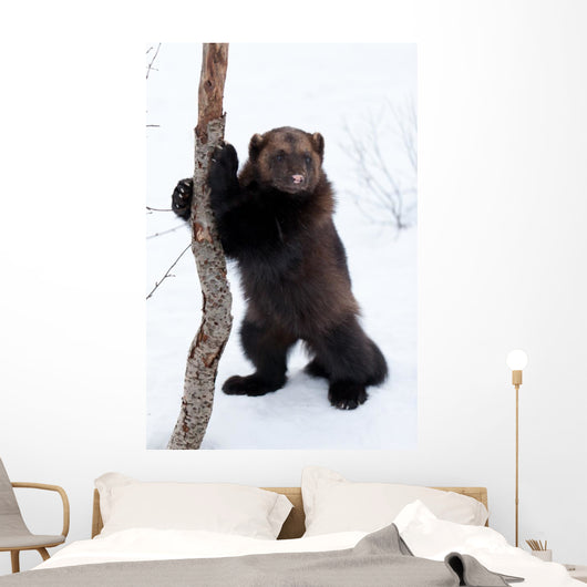 Wolverine Snow Wall Decal