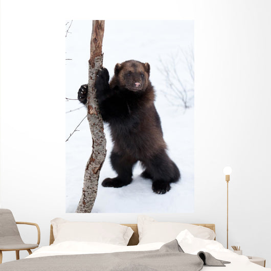 Wolverine Snow Wall Decal