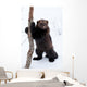 Wolverine Snow Wall Decal