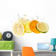 Citrus Slice Wall Decal