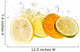 Citrus Slice Wall Decal