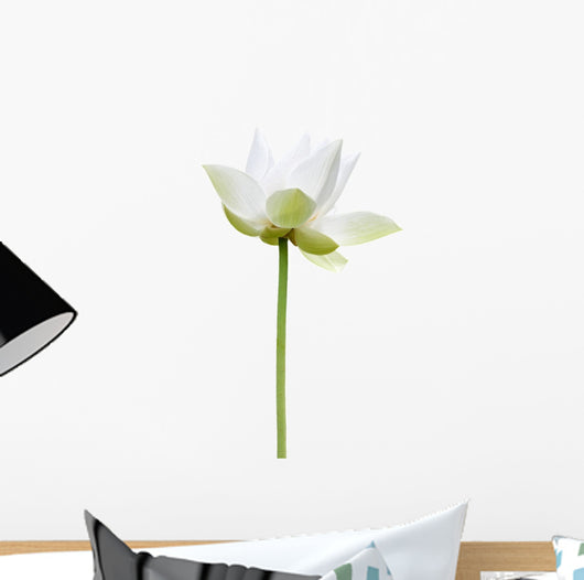 Lotus Blanc Sur Fond Wall Decal