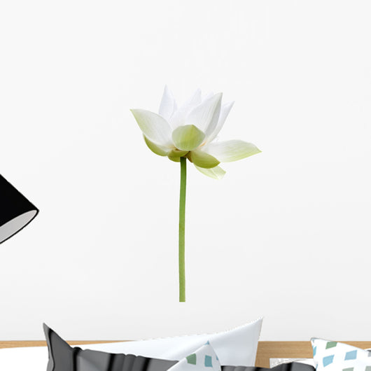 Lotus Blanc Sur Fond Wall Decal