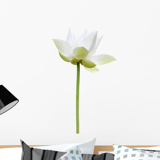 Lotus Blanc Sur Fond Wall Decal