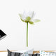 Lotus Blanc Sur Fond Wall Decal