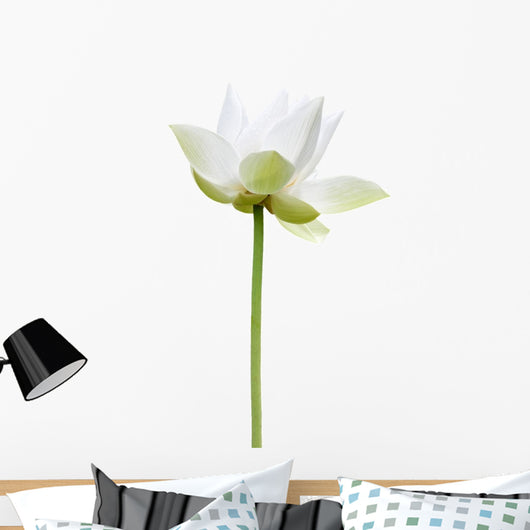 Lotus Blanc Sur Fond Wall Decal