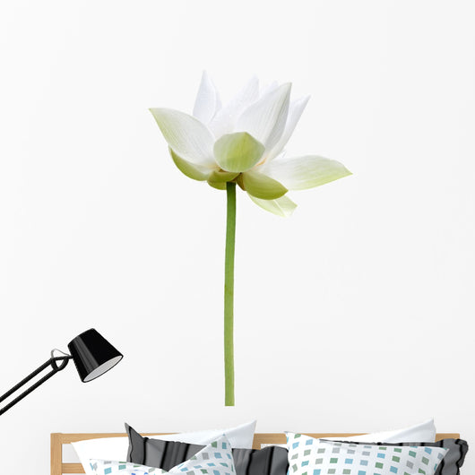 Lotus Blanc Sur Fond Wall Decal