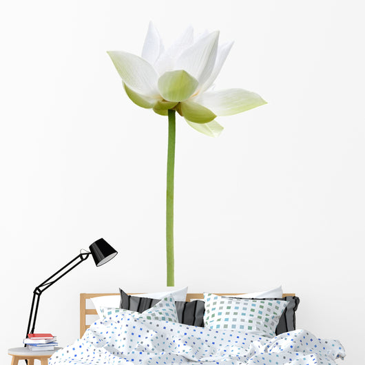 Lotus Blanc Sur Fond Wall Decal