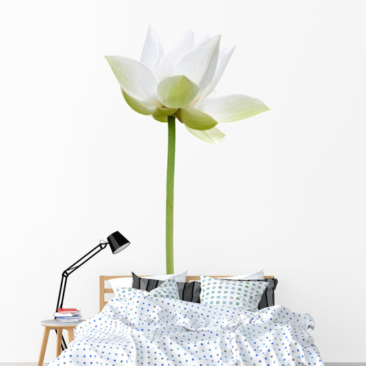 Lotus Blanc Sur Fond Wall Decal