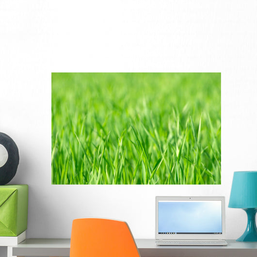 Grass Wall Decal