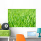 Grass Wall Decal