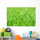 Grass Wall Decal