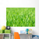 Grass Wall Decal