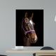 Bay Horse against Black Wall Decal