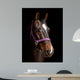 Bay Horse against Black Wall Decal