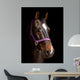 Bay Horse against Black Wall Decal
