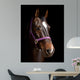 Bay Horse against Black Wall Decal