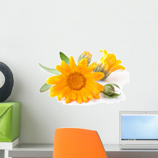 Calendula Flowers Wall Decal