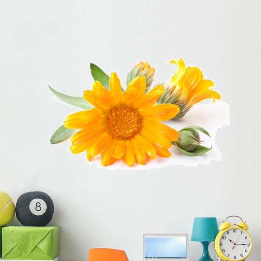 Calendula Flowers Wall Decal