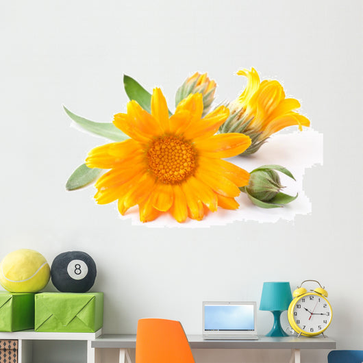 Calendula Flowers Wall Decal