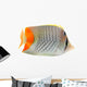 Butterfly Fish Wall Decal