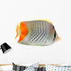 Butterfly Fish Wall Decal