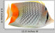 Butterfly Fish Wall Decal