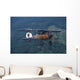 World War I Fighter Wall Decal