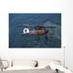 World War I Fighter Wall Decal