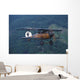 World War I Fighter Wall Decal