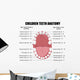 Anatomy Children Teeth Wall Decal