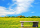 Bench Beautiful Meadow Wall Decal