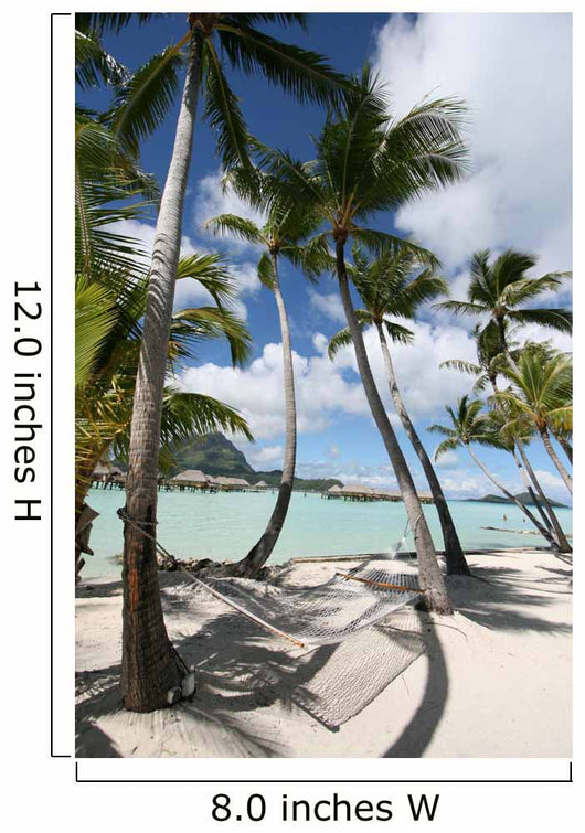 Beach Bora Bora Wall Decal