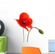 Poppy Flower Wall Decal