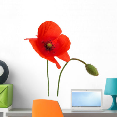 Poppy Flower Wall Decal shown on a wall