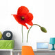 Poppy Flower Wall Decal