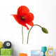 Poppy Flower Wall Decal