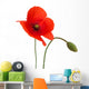 Poppy Flower Wall Decal