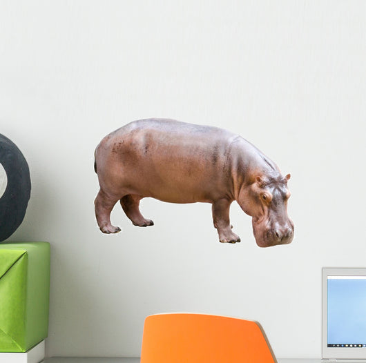 Hippopotamus Wall Decal