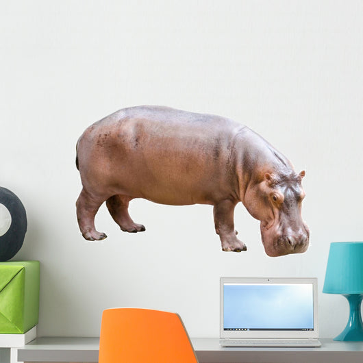 Hippopotamus Wall Decal