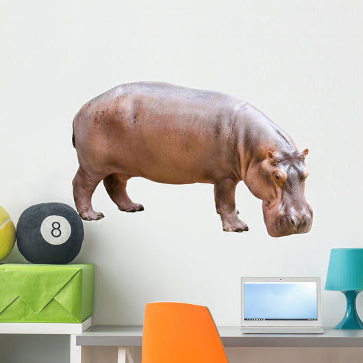 Hippopotamus Wall Decal