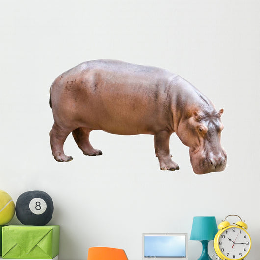 Hippopotamus Wall Decal