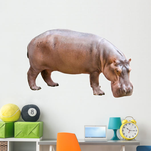 Hippopotamus Wall Decal